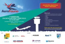 1º AeroFauna, encontro sobre risco da fauna no Brasil, acontece em setembro