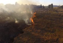 Drone ajuda bombeiros no combate a incêndio em vegetação na cidade de Chapecó