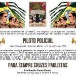 pilotopolicial