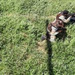 Helicóptero e drone foram utilizados pela PM da Bahia em operação de erradicação da maconha