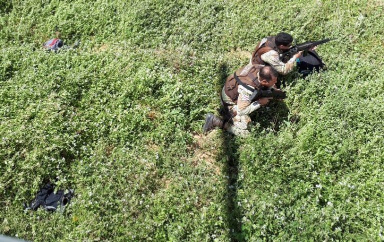 Helicóptero e drone foram utilizados pela PM da Bahia em operação de erradicação da maconha