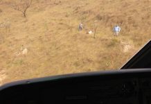 CIOPAer resgata idoso em área de difícil acesso em Chapada dos Guimarães