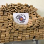 Droga foi levada à Delegacia Participativa (Foto: Stephanie Fonseca/G1)