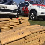 Maconha foi apreendida em sítio em Presidente Prudente (Foto: Murilo Zara/TV Fronteira)