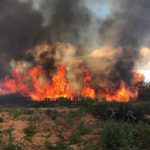 20170903220559228590u