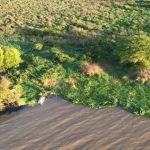 Homens foram parar na margem da cidade de Guaíba, a cerca de oito quilômetros da orla da Capital Polícia Civil / Divulgação