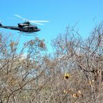 Os policiais contaram com três helicópteros e botes infláveis (Foto: Polícia Federal)