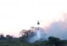 Águia 05 apoia Corpo de Bombeiros no combate a incêndio florestal na região de Campinas
