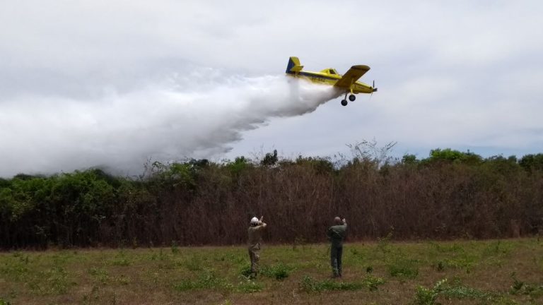 Reforço aéreo controlou 10 focos de incêndio nos últimos três dias no Piauí