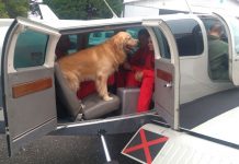 Equipe e cães do Corpo de Bombeiros são transportados por avião do Batalhão de Operações Aéreas da PM para Ivaiporã