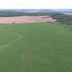 Polícia Militar Ambiental usa drone para identificar e autuar fazendeiros por desmatamento ilegal no MS