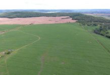 Polícia Militar Ambiental usa drone para identificar e autuar fazendeiros por desmatamento ilegal no MS