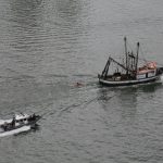 c8t0wzpztqmpn2fa8nysyofw8