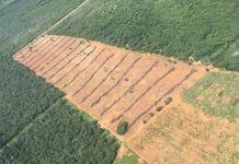 GRAER atua em conjunto com Ministério Público da Bahia contra crimes ambientais