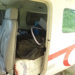 Operação conjunta apreende mais de 300 quilos de entorpecentes em Itaituba, Pará