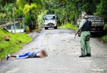 Equipe policial do helicóptero Falcão 03 recupera caminhonete roubada e prende suspeito em Campo Largo, PR