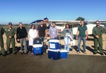 Aviação do Estado de Minas e MG Transplantes realizam megaoperação para captação de órgãos no interior do Estado