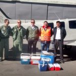 Em duas semanas a Seção de Transporte Aéreo da Casa Militar do Paraná transportou 37 órgãos para transplante