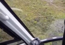 Equipe policial do helicóptero Falcão 03 localiza e prende ladrões em Pinhais, PR