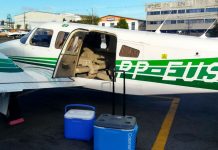 Paraná tem o melhor desempenho em captação e transplante de órgãos