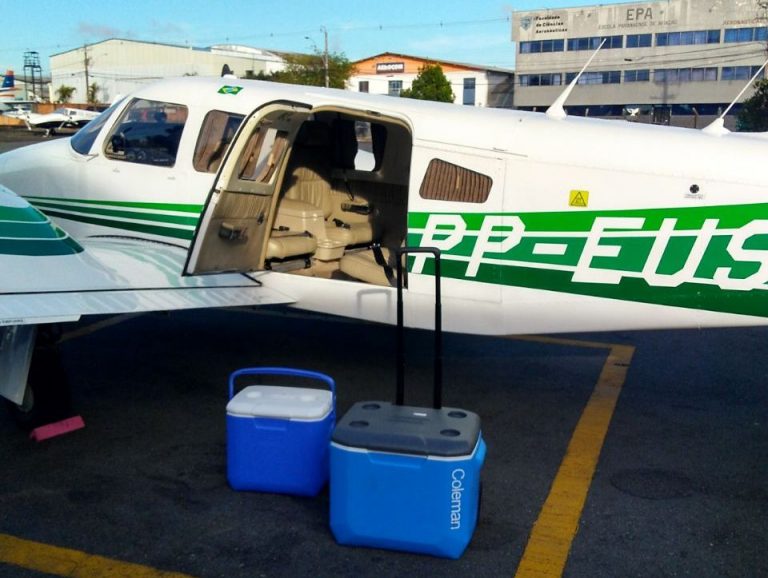 Paraná tem o melhor desempenho em captação e transplante de órgãos