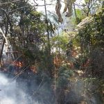 whatsapp-image-2018-07-16-at-16.36.13