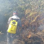 whatsapp-image-2018-07-16-at-16.36.14