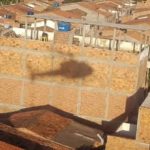 whatsapp-image-2018-08-12-at-10.15.37