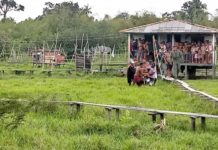 Guardiões da Amazônia socorrem mulher vítima de queimaduras no corpo em área isolada da ilha do Marajó, PA