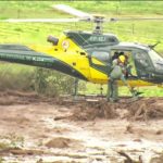 Vaca atolada na lama que vazou da barragem em Brumadinho (Foto: AFP/Douglas Magno)