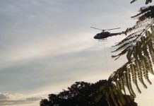 Águia da PM resgata família perdida na mata após ser atacada por abelhas em Santa Rita do Passa Quatro, SP