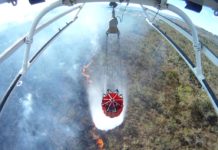 Por que se chama Bambi Bucket? O inventor Don Arney respondeu