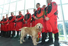 Bombeiros e policiais do Paraná são homenageados com medalha de mérito por terem trabalhado nas operações de Brumadinho, MG