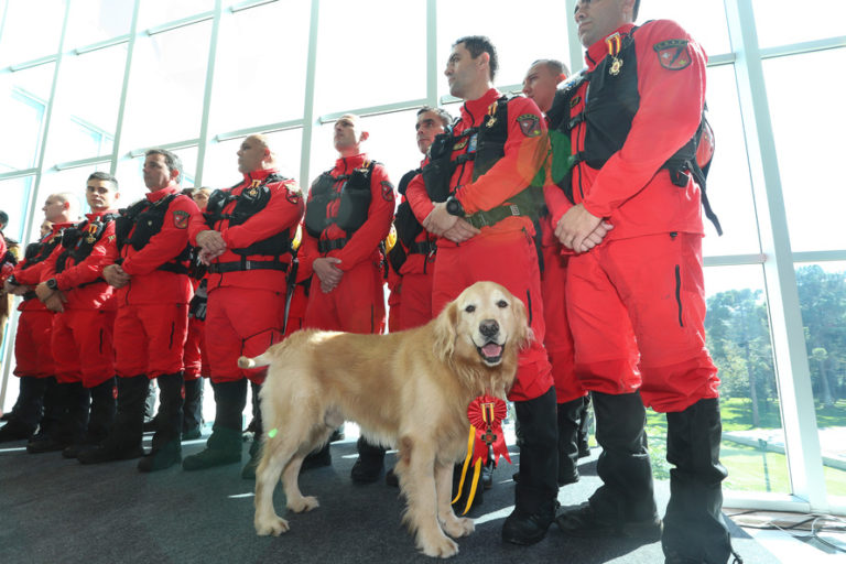 Bombeiros e policiais do Paraná são homenageados com medalha de mérito por terem trabalhado nas operações de Brumadinho, MG