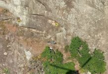 NOTAer do Espírito Santo apoia resgate de praticantes de rapel na pedra do Frade e da Freira