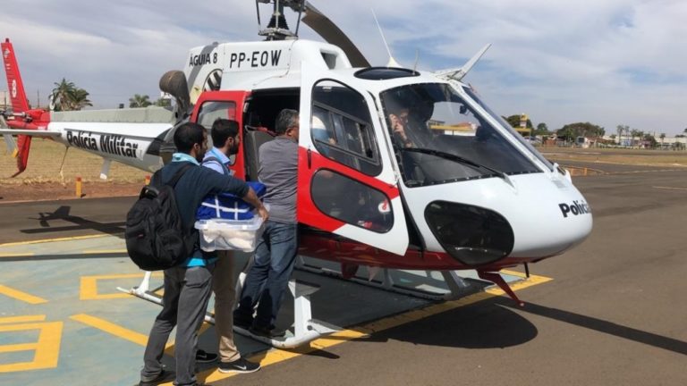 Águia transporta órgãos para serem transplantados em pacientes de São Paulo, Rio Preto, Marília e Ribeirão Preto