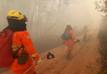 Após missão na Amazônia Corpo de Bombeiros do Paraná usará experiência no estado
