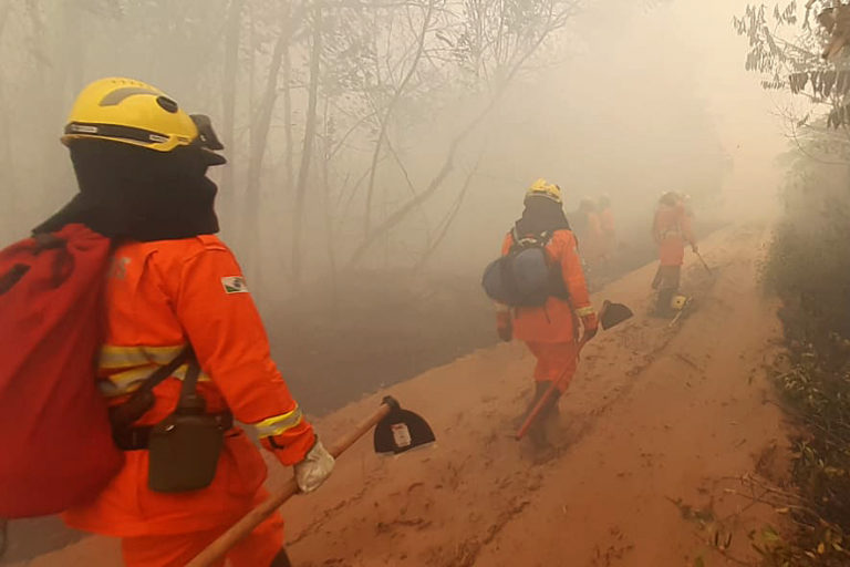 Após missão na Amazônia Corpo de Bombeiros do Paraná usará experiência no estado