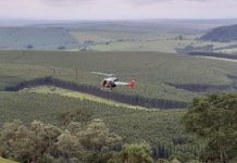 Bombeiros com apoio do Águia resgatam motorista que caiu em barranco na SP-304, em Torrinha