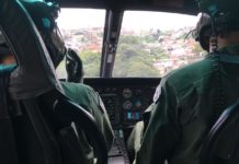 Bombeiros, veterinário da PM e equipe do Águia 23 resgatam cavalo ferido em Francisco Morato, SP