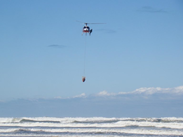Banhista é resgatado com ajuda de bombeiros e do helicóptero da PM em Ubatuba, SP
