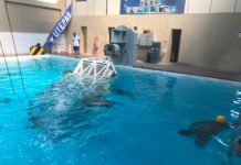 UTEPAS – Mão na fivela, mão na janela!