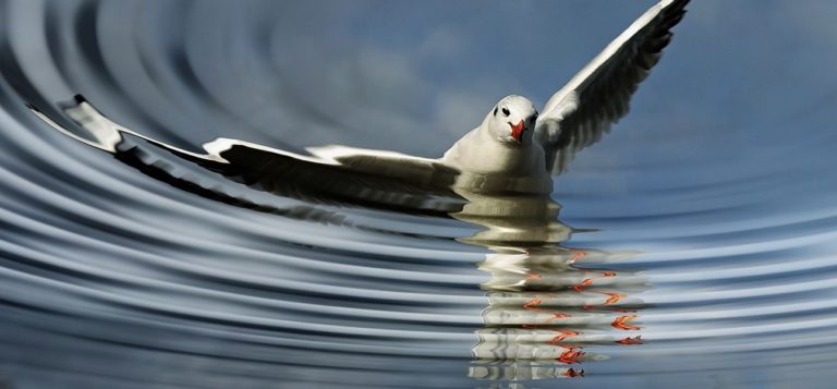O mundo VUCA, o pós-normal, a autogestão e o autoconhecimento