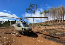 Homem atingido por árvore durante o corte é socorrido pelo SAMU e levado pelo Águia 04 ao hospital, em Lages