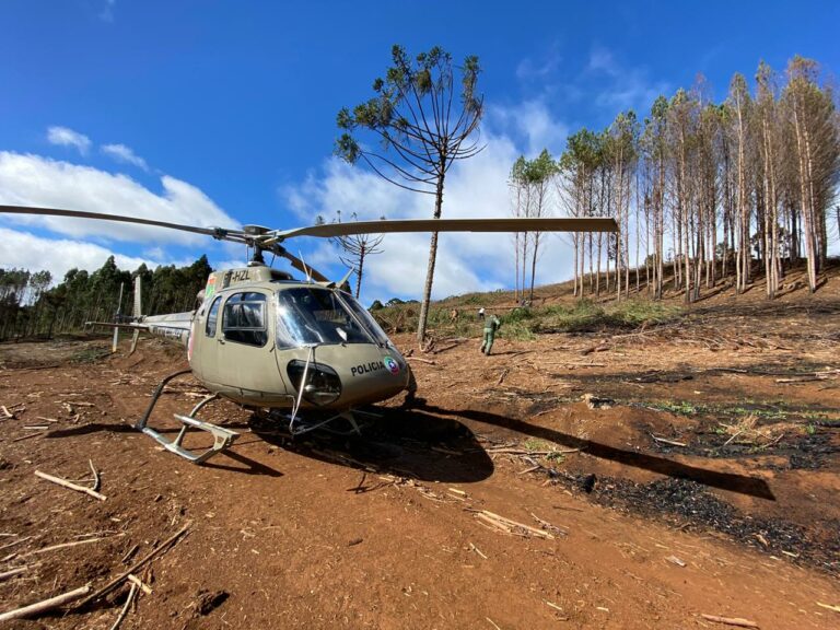 Homem atingido por árvore durante o corte é socorrido pelo SAMU e levado pelo Águia 04 ao hospital, em Lages
