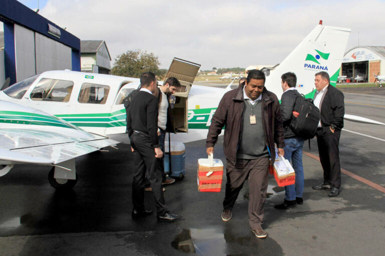 Estado do Paraná mantém liderança em doações e transplantes de órgãos