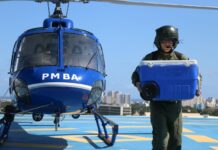 Estado da Bahia lidera número de transplantes de rim no nordeste e é o sétimo no Brasil