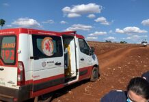 Depois de ser picado por centenas de abelhas, homem é resgatado por equipes do SAMU em Astorga, PR