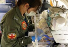 Força Aérea Portuguesa transportou 500 pacientes desde o início do ano