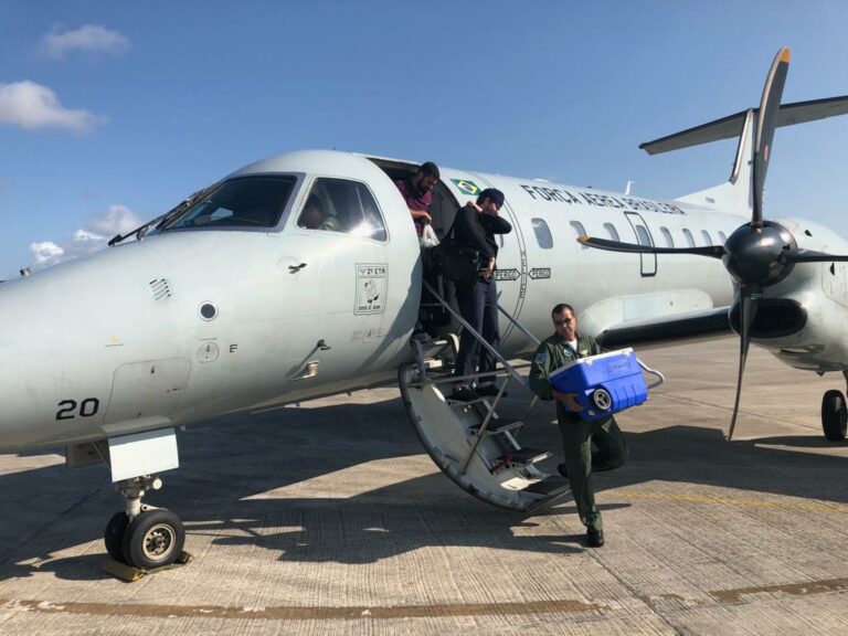 Força Aérea Brasileira já transportou 170 órgãos para transplantes em 2020